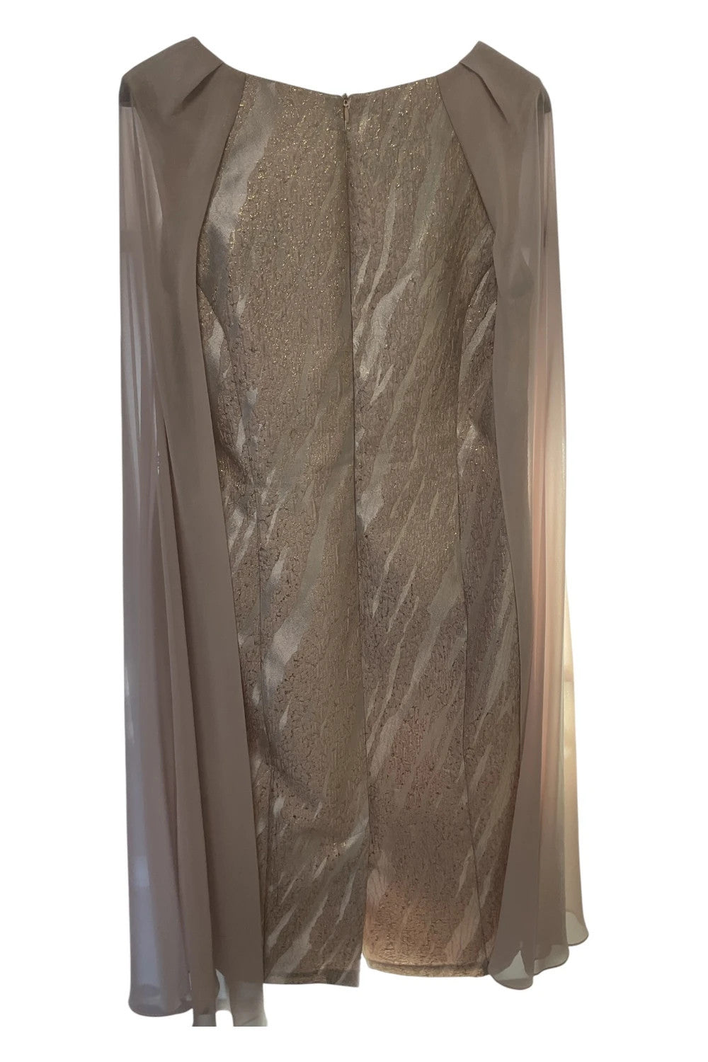 Lizabella BNWT dress size-12 10526RMC