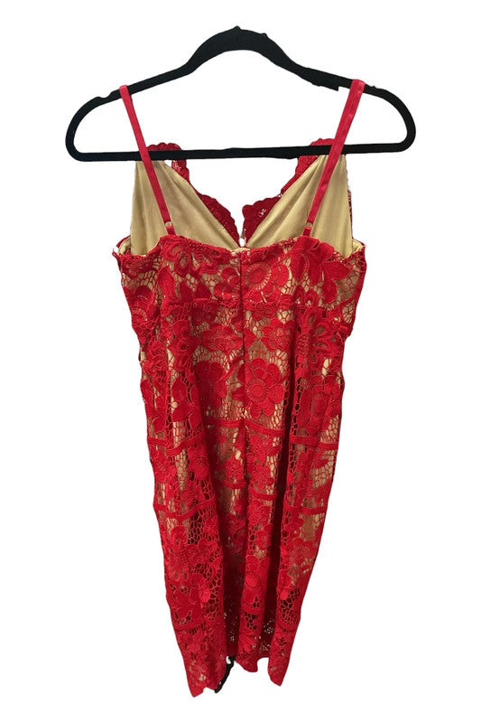 Boohoo  dress lace red size 14 9531GRS