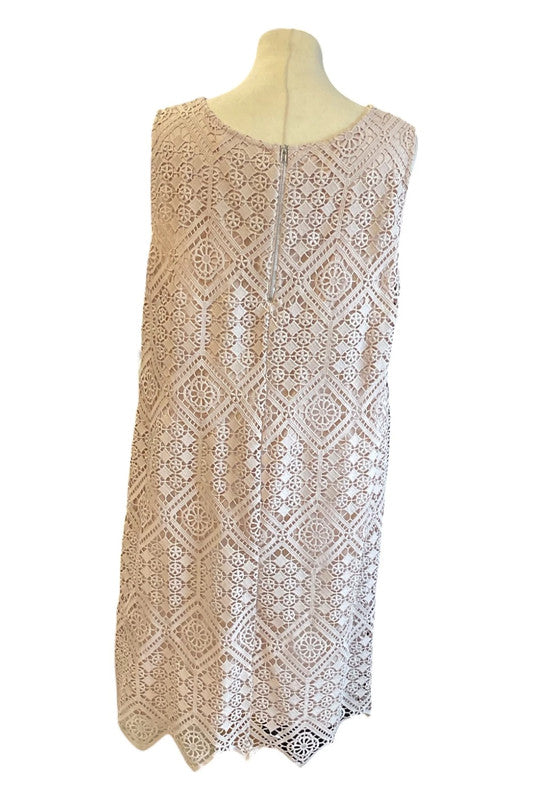 Wallis dress beige lace midi size 18 9758RKE