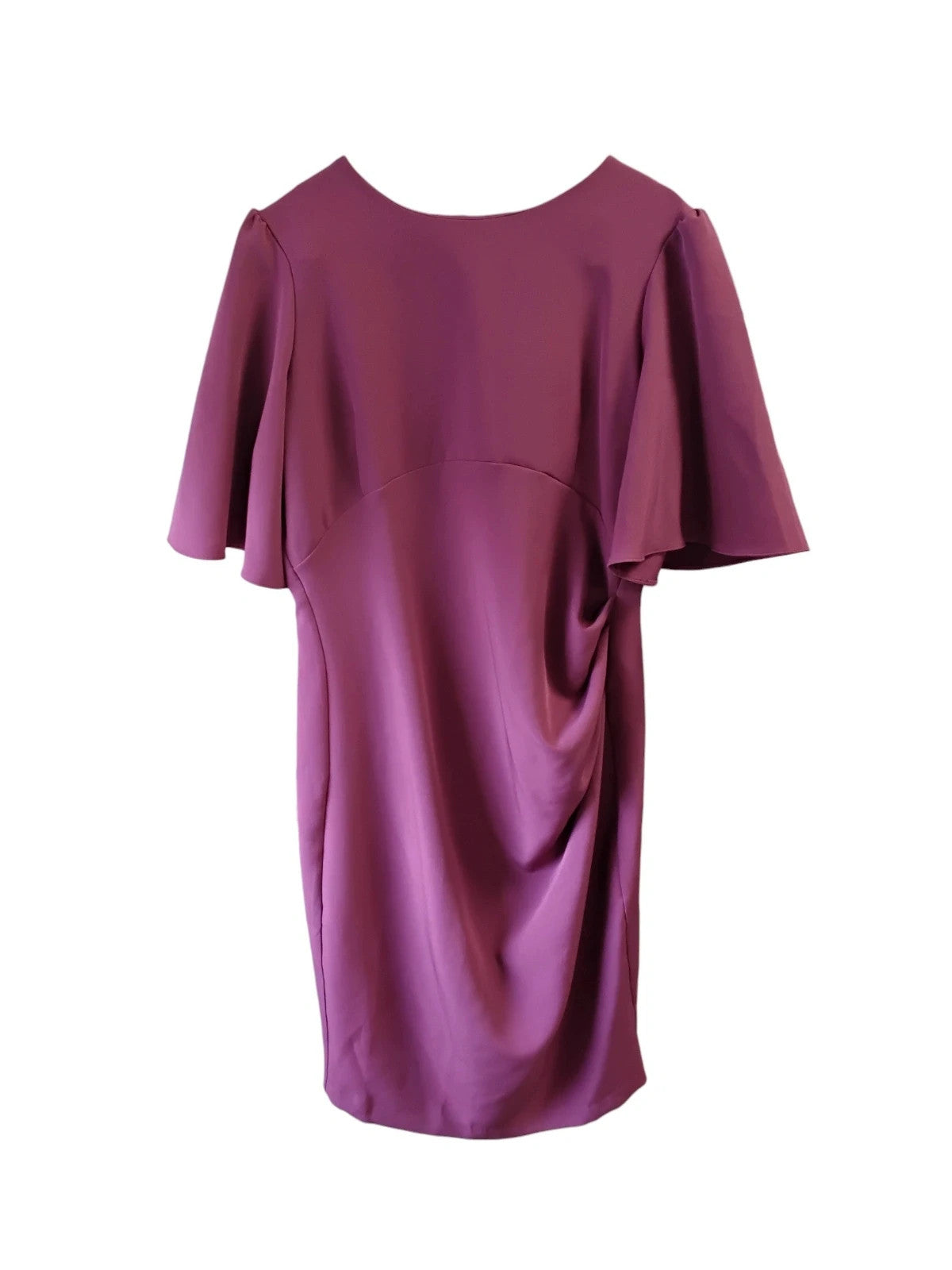 Coast NWT dress purple size-18 10402SME