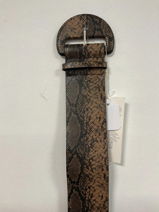 BNWT Zara Belt Brown Sz M/L 10954CDC